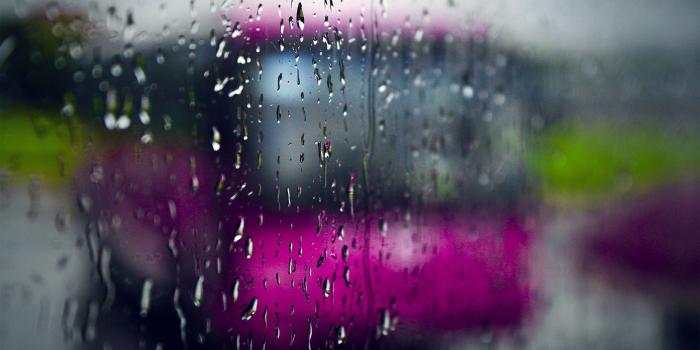 2560x1600 Rainy Day wallpapers | Freshwallpapers