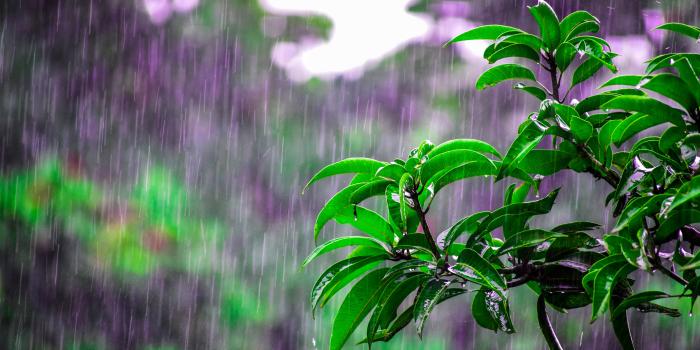 6000x4000 Rainy-day Free Stock Photos, Images, Pictures, HD Wallpapers