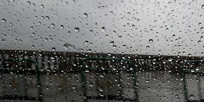 2560x1600 Rainy Day HD Wallpaper, Rainy Day Backgrounds Desktop Background