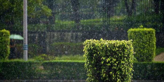 1920x1200 55+ Gloomy Day Wallpapers - Download at WallpaperBro