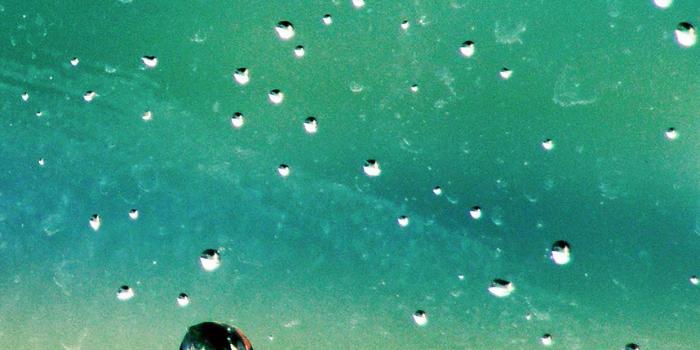 1242x2208 Rainy Day Green Water Nature Spring Window Android wallpaper