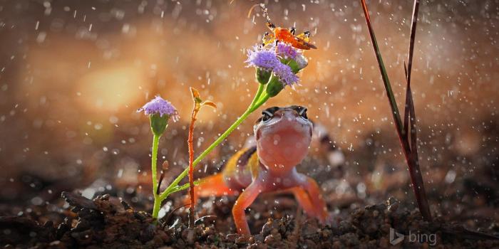 1920x1200 rainy day wallpaper HD