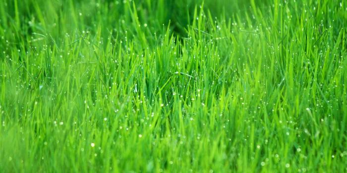 3840x2400 Download Rainy Day HD Wallpaper - Wallpapers Printed