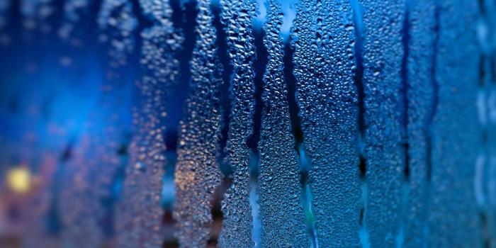 1920x1080 wallpaper rainy nature | Free Wallpaper