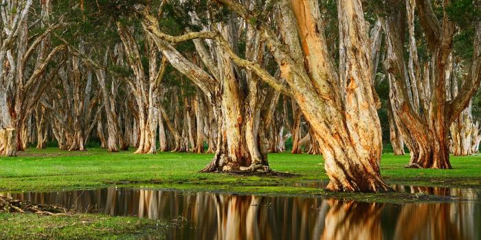 2560x1440 Centennial Park Rainy Day 4K Wallpapers | HD Wallpapers | ID #28725