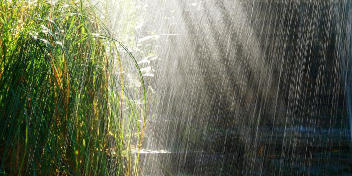 2560x1600 Rainy Pics, PC, Laptop 35 Rainy Pictures in FHD-GX395, GLaureL Pack IV