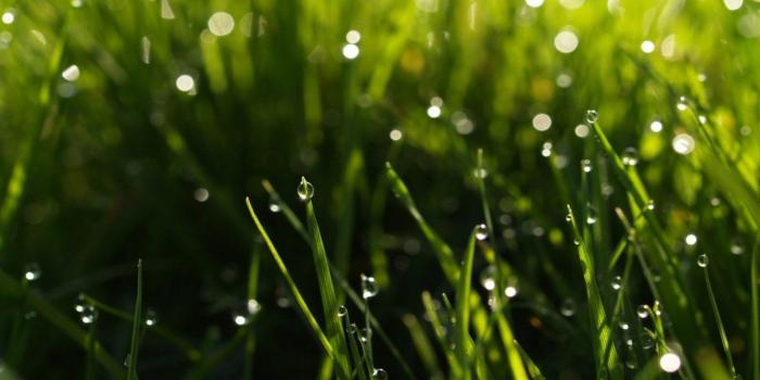 1920x1080 Awesome Rainy HD HD Wallpaper Free Download