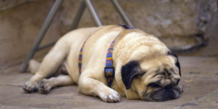 1920x1080 Smash + Grab is definitely not Sleeping Dogs 2