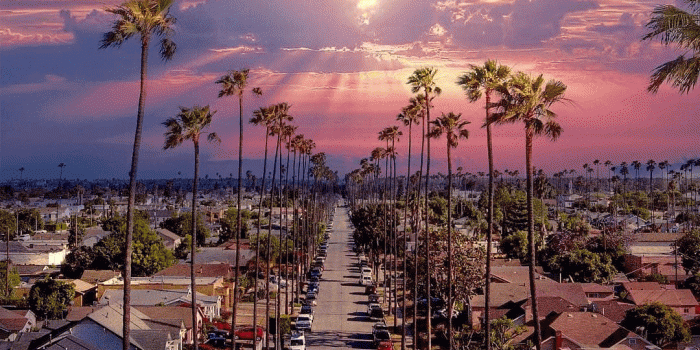 1080x1349 South Central LA by Ezequiel Castro | Travel inspiration | Los