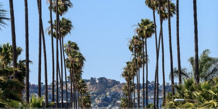 1000x1500 Los Angeles – April 2013 - MetroScenes.com – City Skyline and Urban