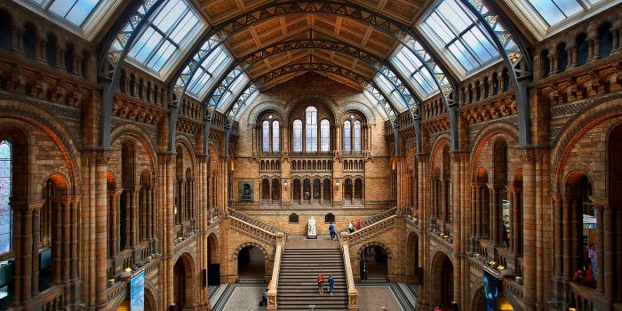1920x1080 Central Hall NHM – Bing Wallpaper Download