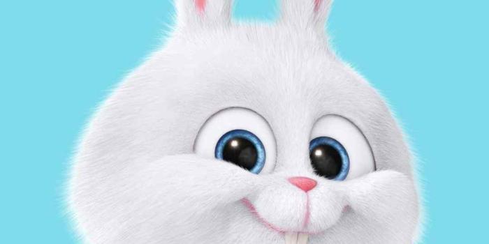 1080x1920 Fond D écran Iphone Disney Stitch