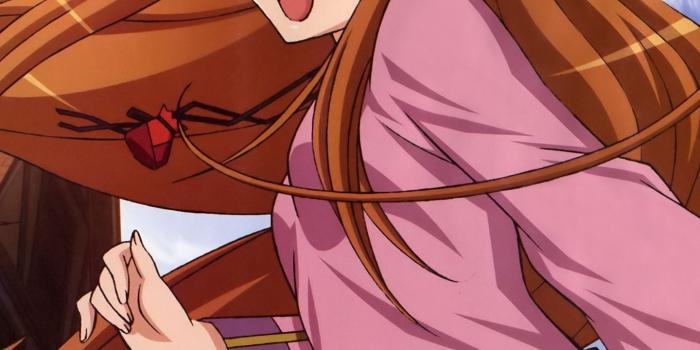 1440x2560 Download wallpaper 1440x2560 spice and wolf, holo, girl, fox, tail