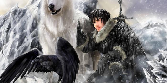 4200x3267 Download wallpaper fantasy, wolf, Warrior, raven free desktop