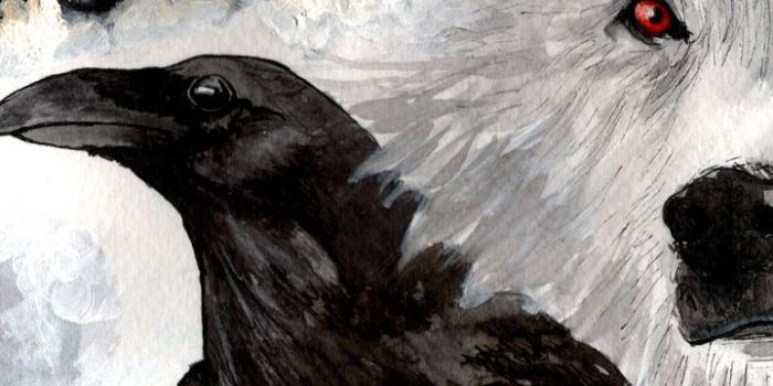720x1280 720x1280 beak, white, wolf, game of thrones, raven, ghost, snow
