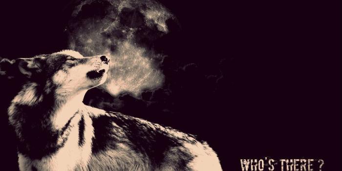 1131x707 Raven Univers