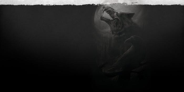 1332x850 Wallpaper the moon, wolf, Raven images for desktop, section
