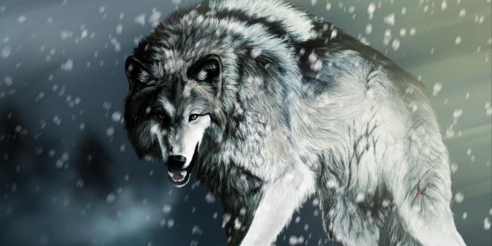 1920x1080 Wolf Art Wallpaper (79+ images)