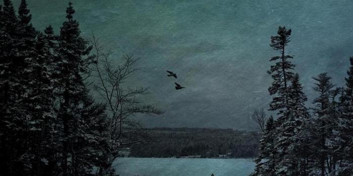 1600x1200 WOLF ART WALLPAPER ( Desktop Background