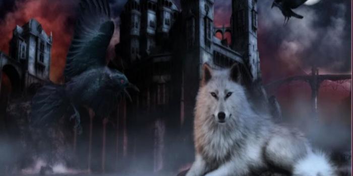 1024x768 HD Epic Wolf Wallpaper | wallpaper ubin