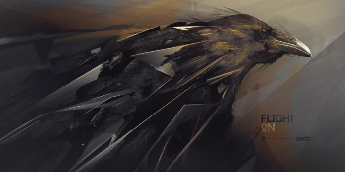 1245x700 Abstraction hq wallpaper raven wallpaper | 2560x1440 | 162634