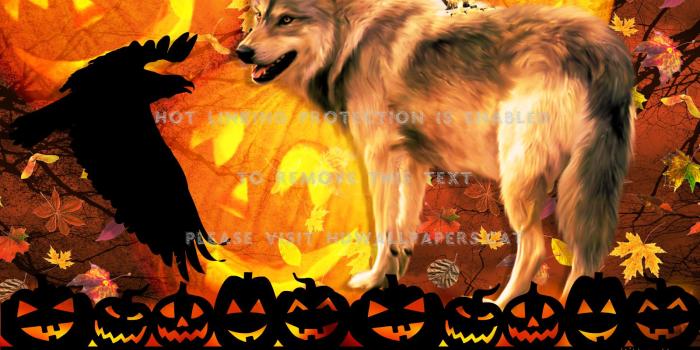1600x1200 cute halloween wolf fall lights trees raven