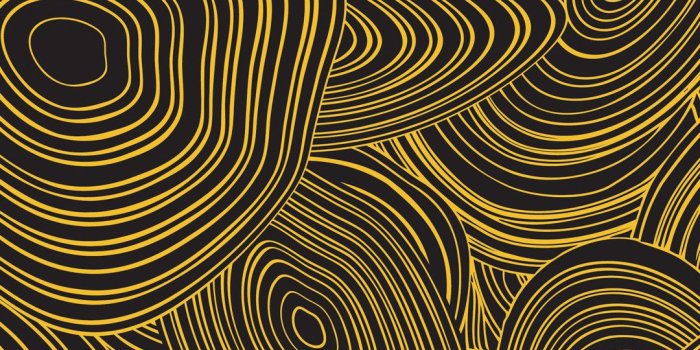 1080x1920 Black and Gold iPhone Wallpaper (72+ images)