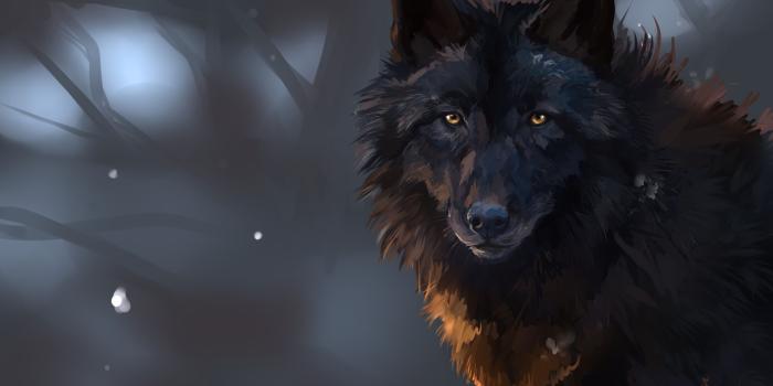 3000x2000 74+] Wolf Wallpaper Desktop on WallpaperSafari