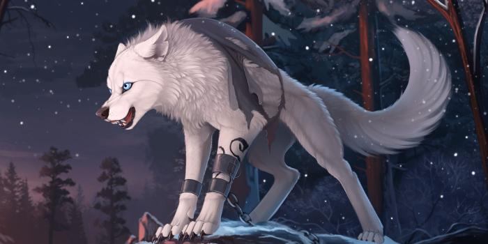 2460x1580 Furry Wolf Wallpaper (75+ images)