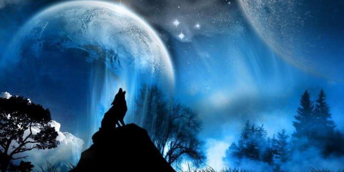 1920x1080 Galaxy Wolf Wallpapers