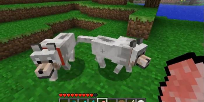 1280x800 Pet Wolves Coming to Minecraft