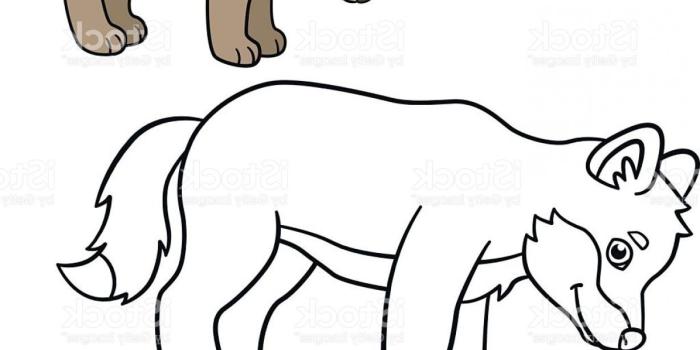 1228x1210 Wolf Little Cute Baby Wolf Smiles Gm | SOIDERGI