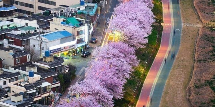 840x1260 Busan,South Korea #SouthKoreaTravelInfo | Seoul and etc. in 2019