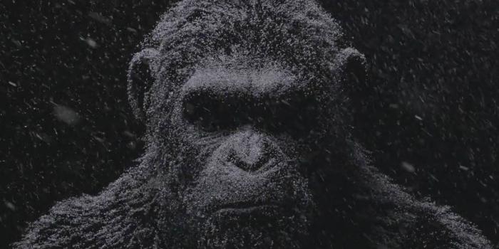 1280x720 War for the Planet of the Apes (2017) - First Official Trailer