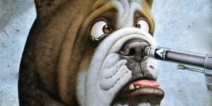 2048x2048 Funny Dog Wallpapers Iphone, Hd Wallpapers & backgrounds Download