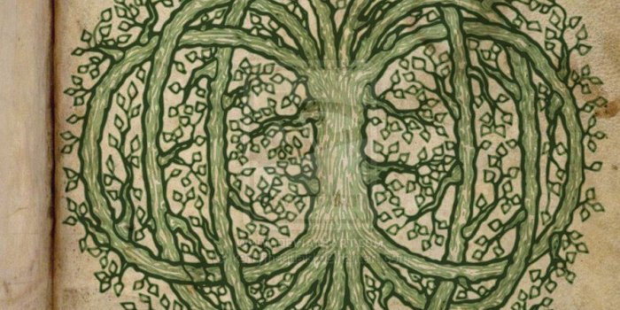 894x894 50+] Celtic Tree of Life Wallpaper on WallpaperSafari