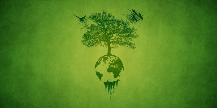 1920x1200 Tree Of Life Wallpapers