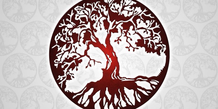 1600x1066 65+ Tree of Life Wallpapers - Download at WallpaperBro