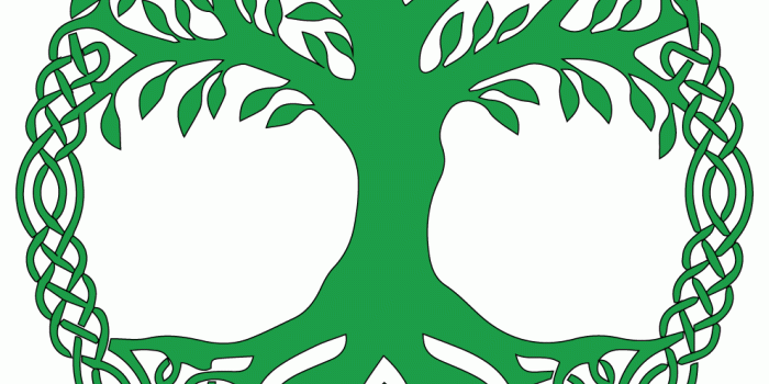 991x1010 The Tree of Life: Meaning and Symbolism - Mythologian.Net