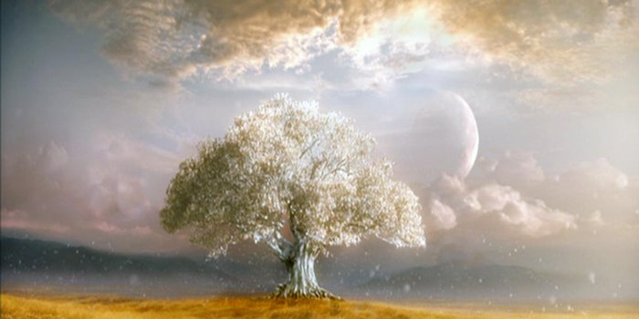 1440x900 Tree Of Life Wallpapers (27) | WallpapersExpert Journal