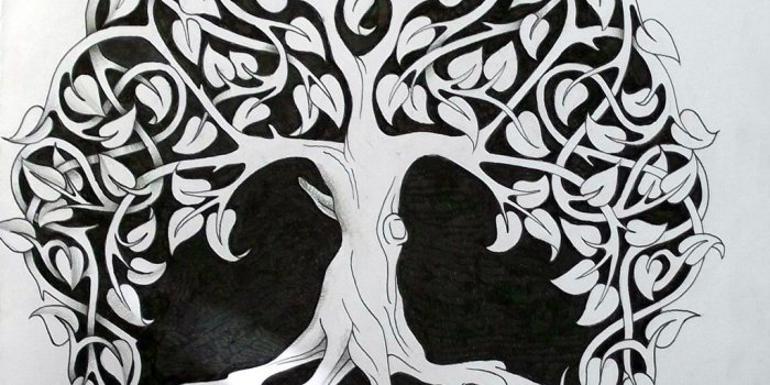 1024x939 Free Tree Of Life, Download Free Clip Art, Free Clip Art on Clipart