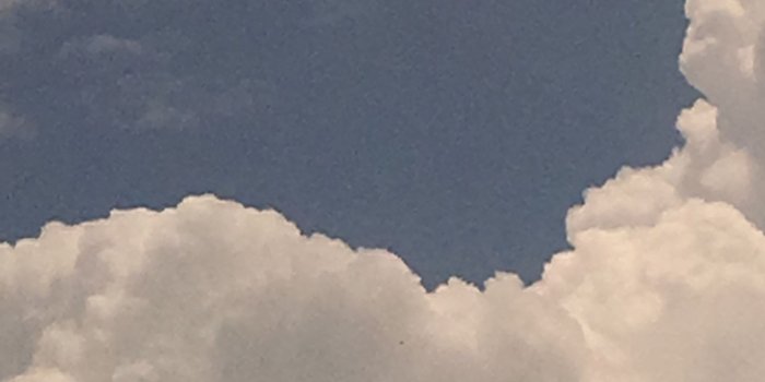 2095x3724 結 ᴬⁿᵉ ᵒᶠ ᵗʰᵉ ʷⁱˡᵈ ʰᵘⁿᵗ 結 | aesthetic in 2019 | Aesthetic