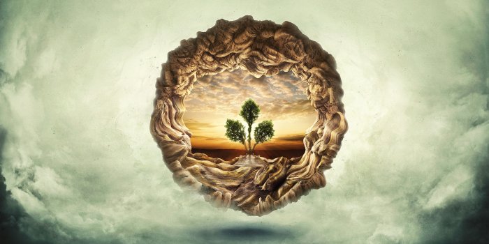 5120x2880 Tree of life wallpapers Gallery