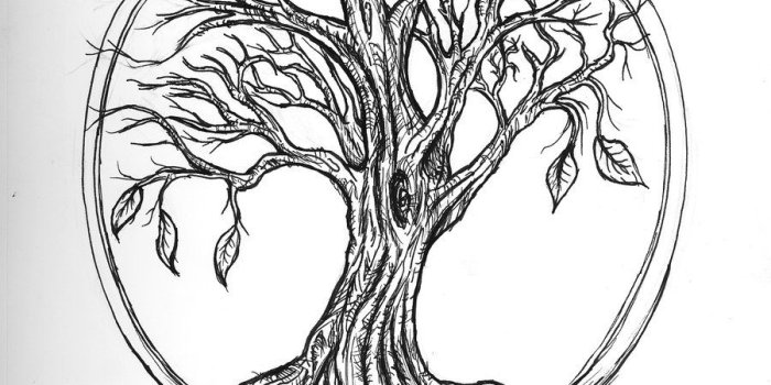 900x1151 Tree Drawing Wallpaper at GetDrawings.com | Free for personal use