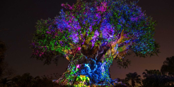 2280x1520 Download Tree Of Life Wallpaper (49) - mariacenoura.pt