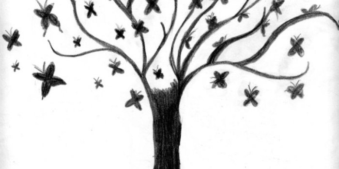 803x1024 Tree Drawing Wallpaper | Free download best Tree Drawing Wallpaper