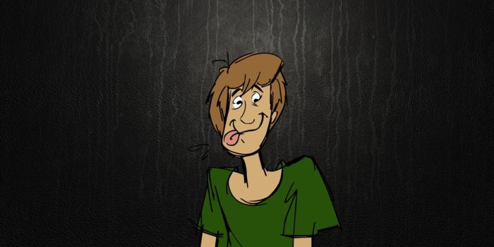 1244x700 Scooby-Doo Shaggy Leather Texture Scooby wallpaper | 1920x1080