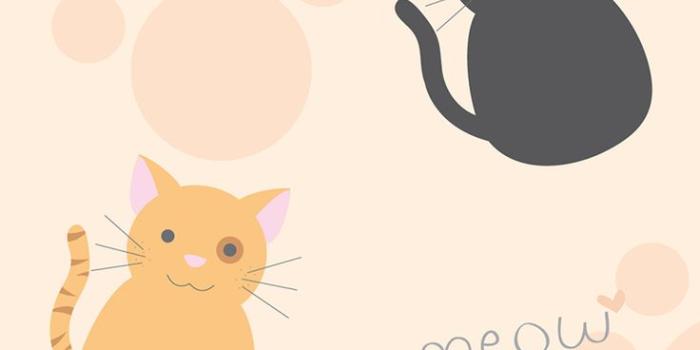 736x1377 55+ Cute Cartoon Cat iPhone Wallpapers - Download at WallpaperBro