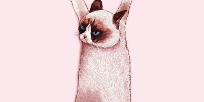 700x1244 Image result for cat aesthetic wallpaper desktop | cats | Iphone