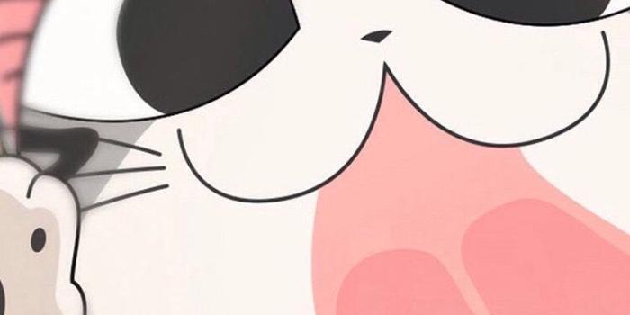 750x1334 Cher Messercola on Cartoon Cats & Kittens Clip Art